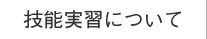 技能実習について