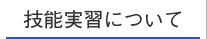 技能実習について