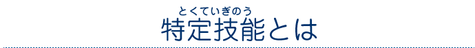 特定技能とは