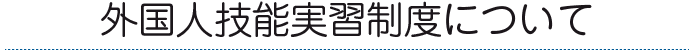 外国人実習制度について