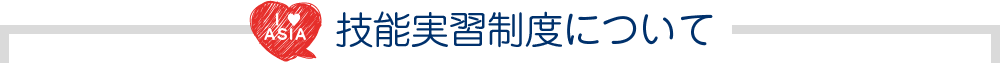 技能実習制度について